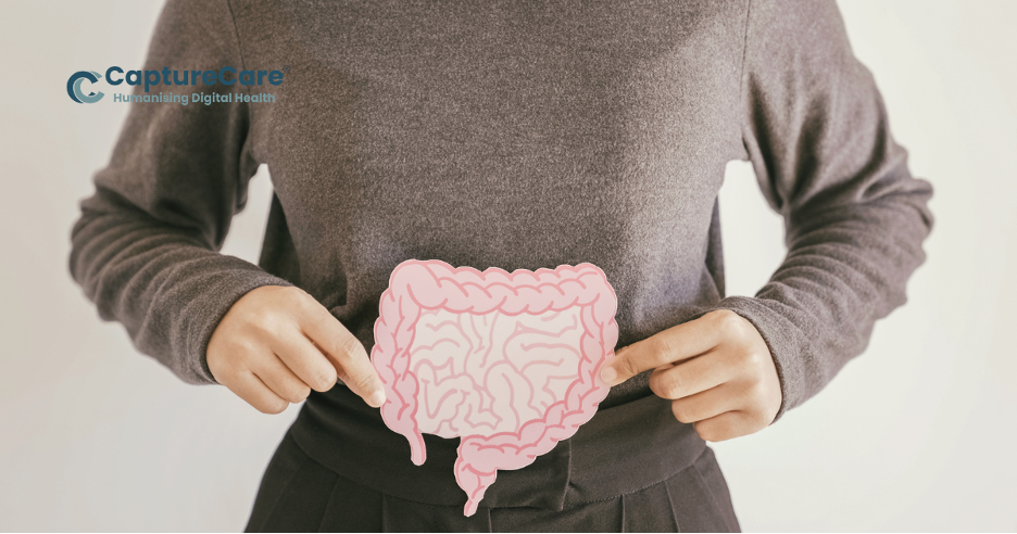 The Gut-Hormone Connection and Why Your Digestion Changes in Midlife